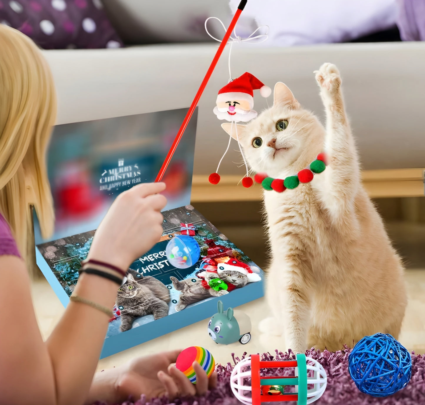 Cat Advent Calendar - Liiush™
