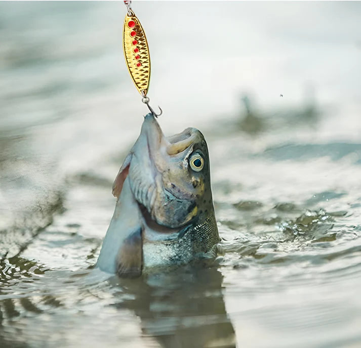 Tackle Time Calendar - Liiush™