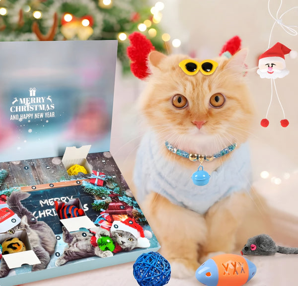 Cat Advent Calendar - Liiush™